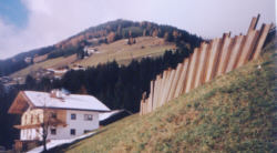 friedhofserweiterung 17