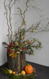 neueroeffnung tischlerei wieser 09