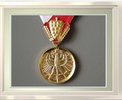 verdienstmedaille