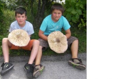 David und Lukas freuen sich über die Pilze