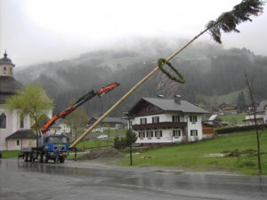 maibaum 05