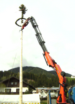 maibaum 02