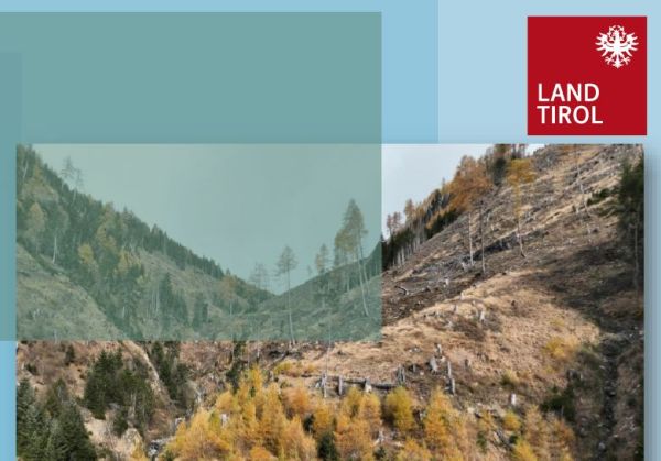 Forsttagsatzung 2024 – Rückblick