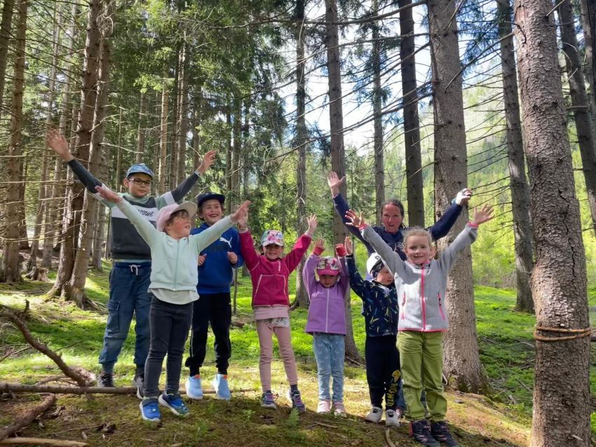 Abenteuer Wald