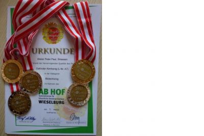 Goldene Honigwabe 2012